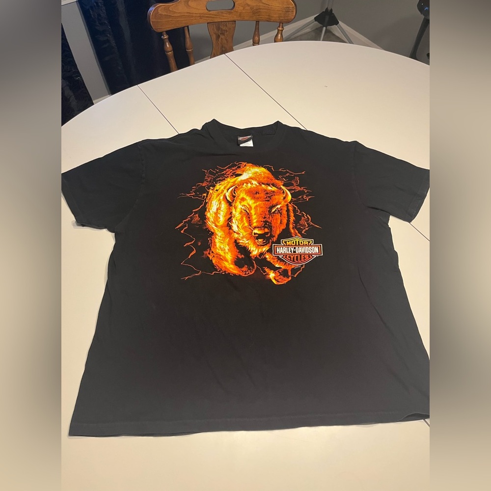 Harley Davidson XXL Nashville Tennessee Boswell’s Music City 2011